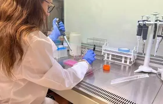 Descubren el Potencial Neuroprotector de Subproductos Agrícolas Ricos en Polifenoles