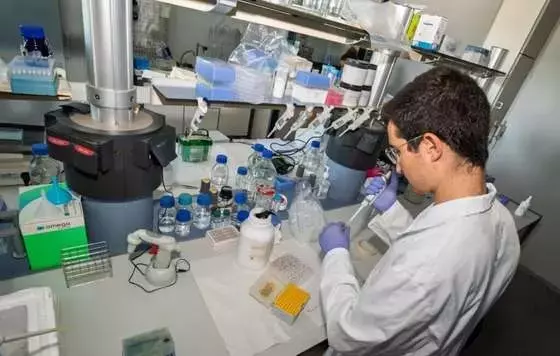 Cereales para el Corazón: Nuevo Suplemento Nutricional Combate la Hipertensión