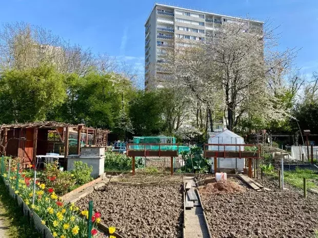 Les municipalit￩s fran￧aises embrassent la végétalisation pour un avenir urbain plus résilient
