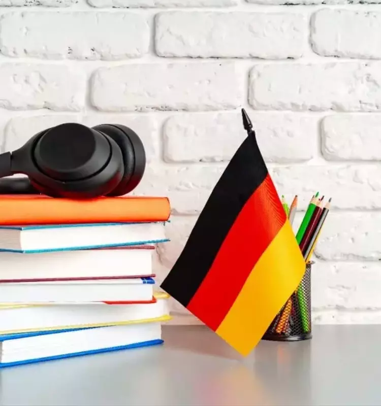 Online French Courses: A Structured and Neutral Overview