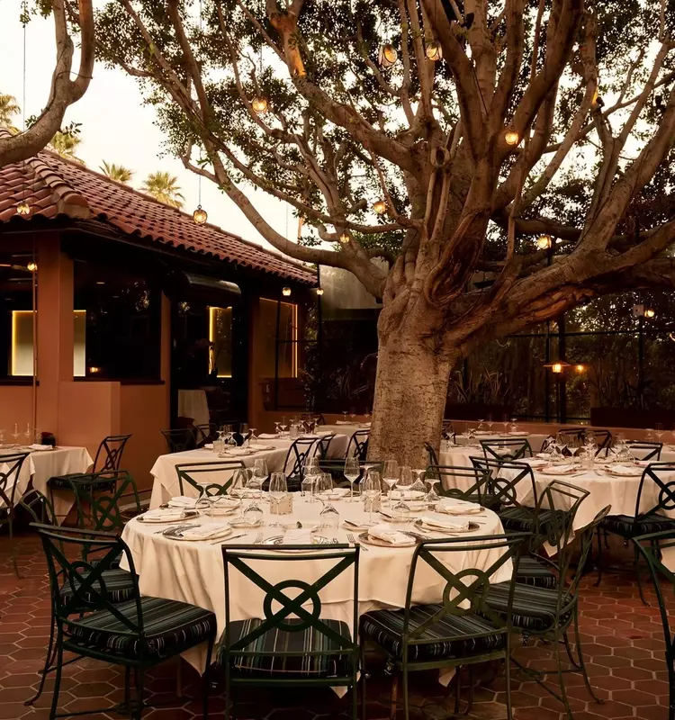 A Culinary Journey Through Palm Springs: Top Dining Destinations