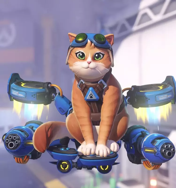 Overwatch 2: Jetpack Cat's Wild Arcade Mode