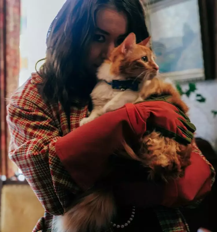 Mitski's Feline Musings: A Deep Dive into Iconic Cats and New Album Inspiration