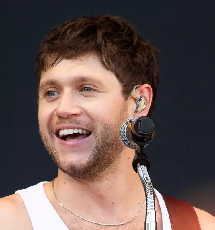 Niall Horan Completes His Fourth Studio Album