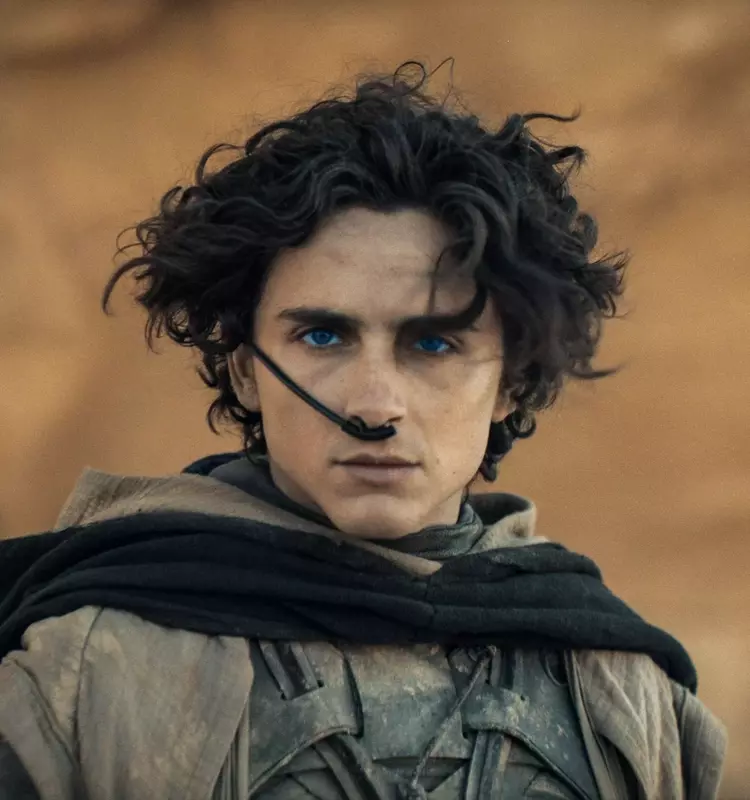 Timothée Chalamet's Unexpected Gamer Alter Ego