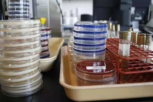 Descubriendo el Índice de Equilibrio de la Red Ecológica (ENBI) para la Salud Intestinal
