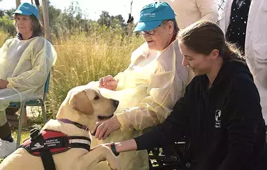 Iniciativa Pionera: Terapia Canina para Ancianos Hospitalizados en las Islas Baleares