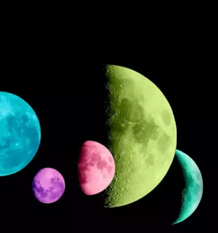 “Lunaria”: Un Viaggio Artistico e Scientifico nella Luna a Brescia