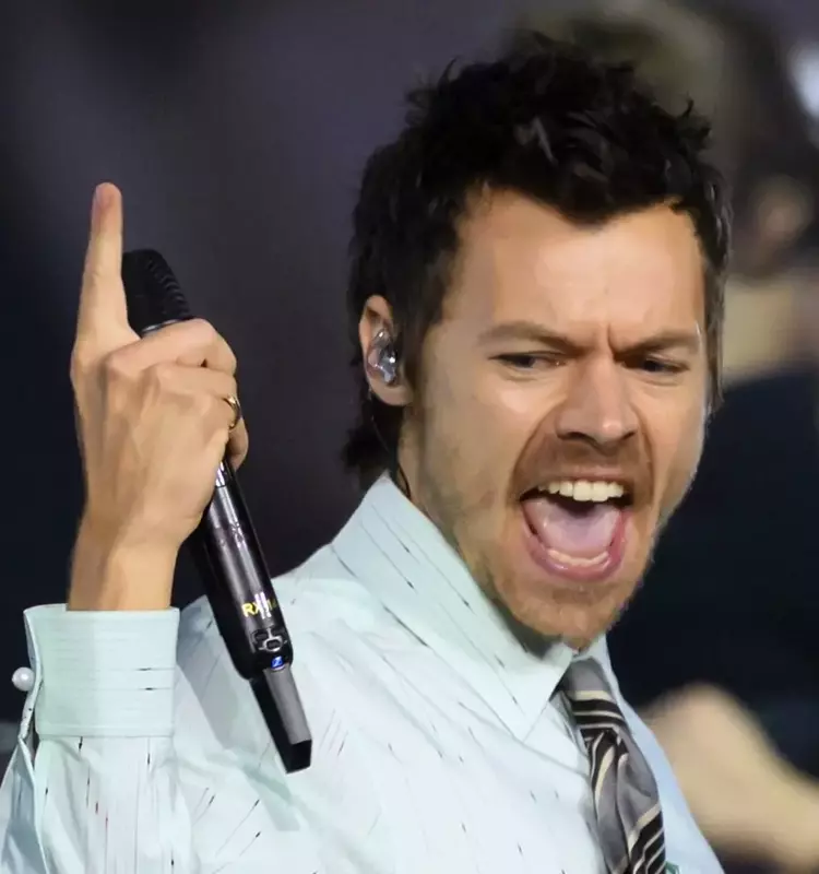 Harry Styles' Manchester Concert Film Premieres on Netflix