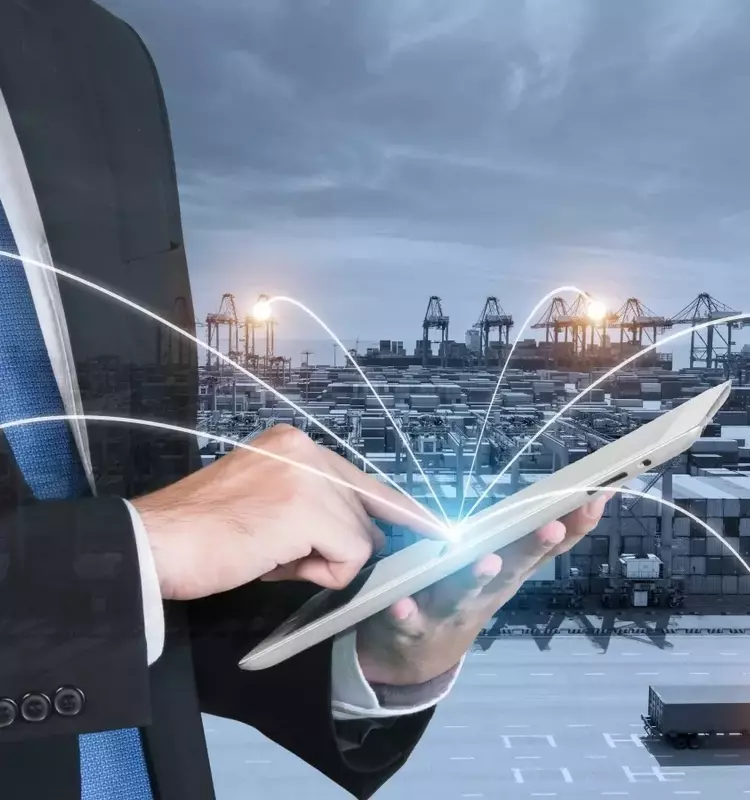 Romanian Language Courses: Structure, Learning Mechanisms, and Educational Context