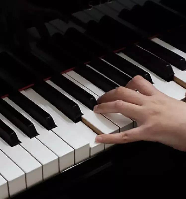 Photography Courses: Structure, Techniques, and Educational Insights