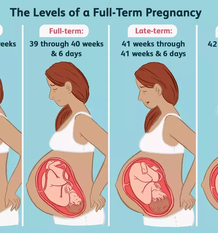 The Importance of Full-Term Pregnancy for Baby's Development