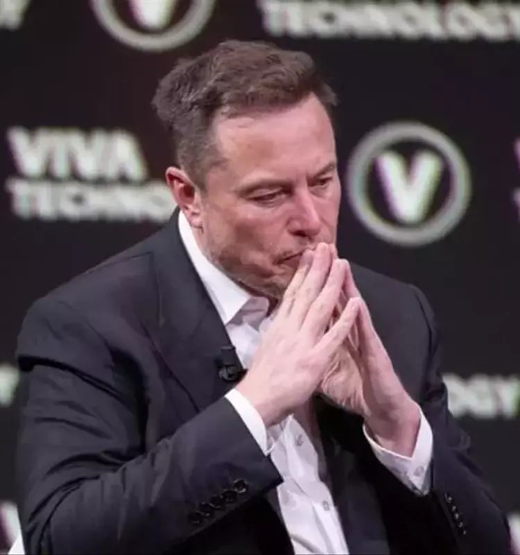 Elon Musk's Austere Lifestyle Revealed by Mother Maye Musk