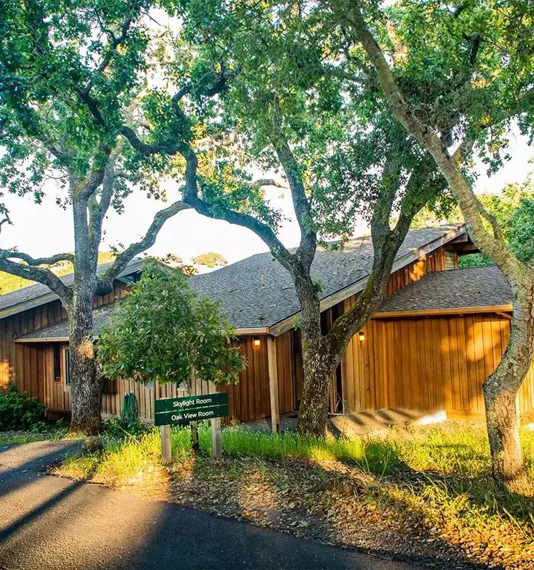The Hoffman Process: A Deep Dive into the Intensive Self-Discovery Retreat Popular Among Tech Leaders