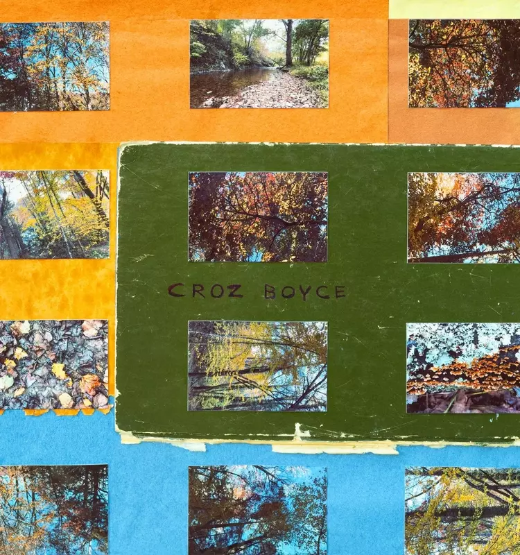 Animal Collective Members Form New Instrumental Duo Croz Boyce, Announce Debut Album