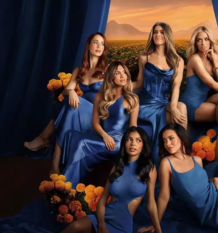 Accessing "The Secret Lives of Mormon Wives" Season 4 Online
