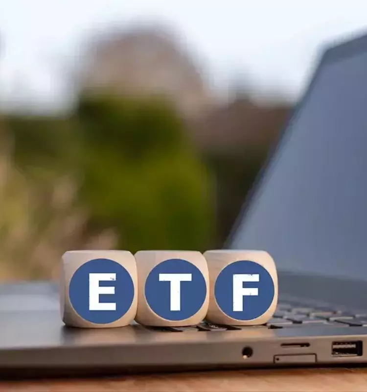 Strategic Investment: Unpacking Two Vanguard ETFs for Long-Term Growth