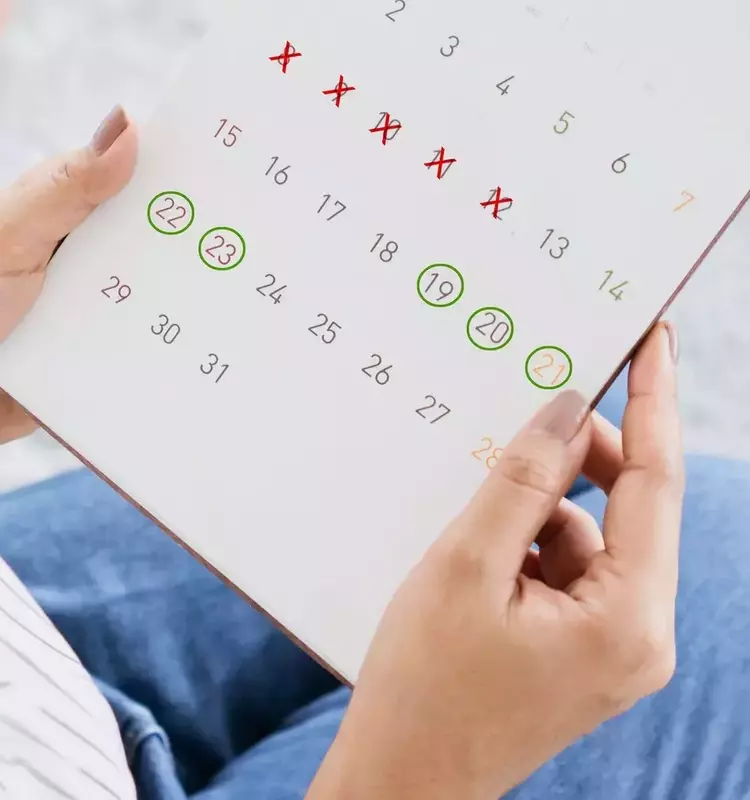 Understanding Your Ovulation Cycle for Enhanced Conception Chances