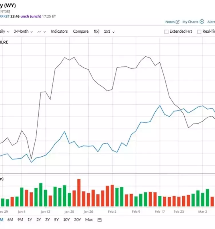 Weyerhaeuser's Stock Performance: An Analysis of Underperformance in the Real Estate Sector