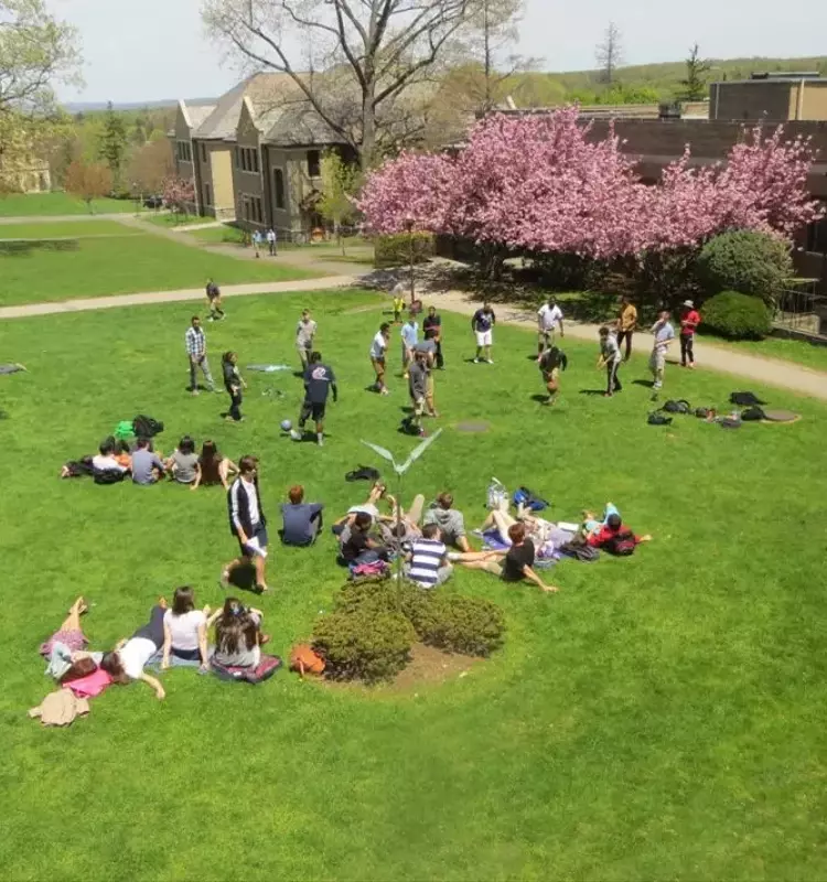 Corporate Compliance Training: Concepts, Mechanisms, and Organizational Contexts