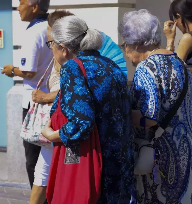 Avance Médico: Consenso Nacional para Optimizar el Manejo de Fracturas Vertebrales por Osteoporosis