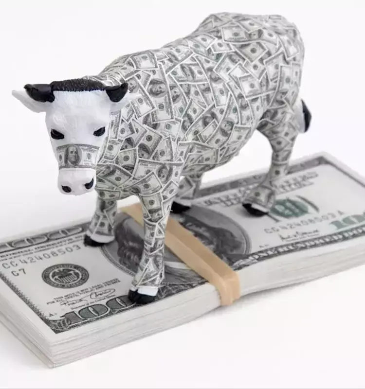 Billionaire Investment Trends: A Deep Dive into Tech Giants