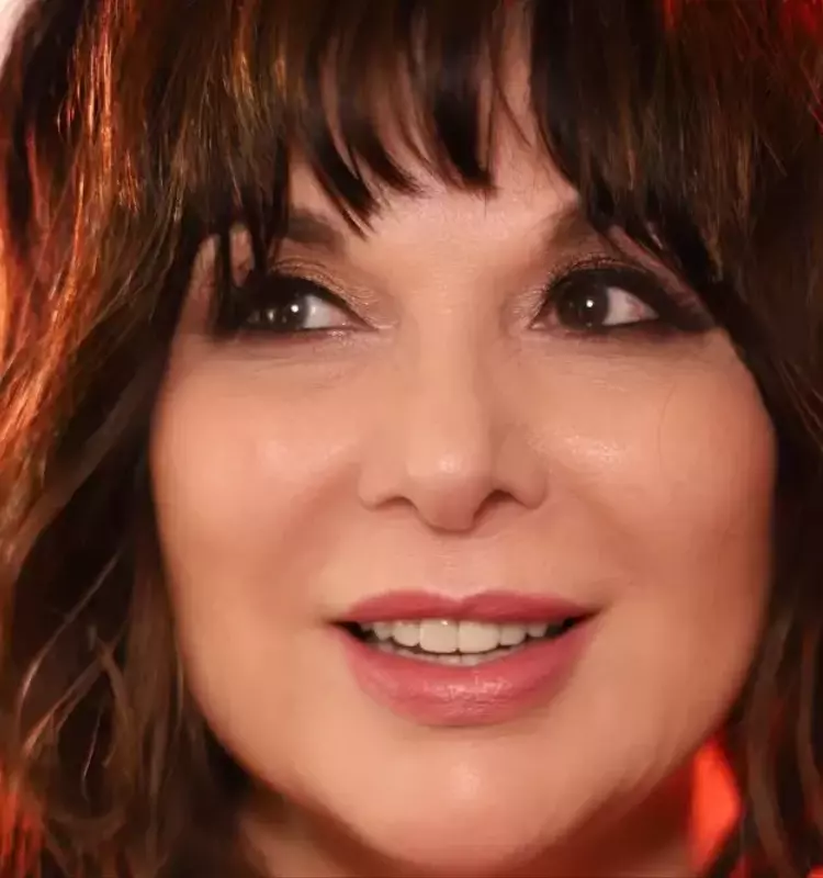 Ann Wilson's Solo Journey: Unveiling 'In My Voice' Documentary and Tour