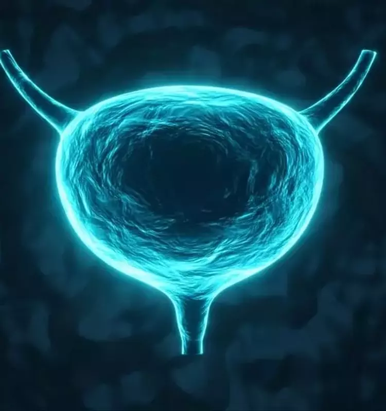 ImmunityBio's Anktiva Gains Traction with Expanded Bladder Cancer Guideline Inclusion, Stock Reacts Positively
