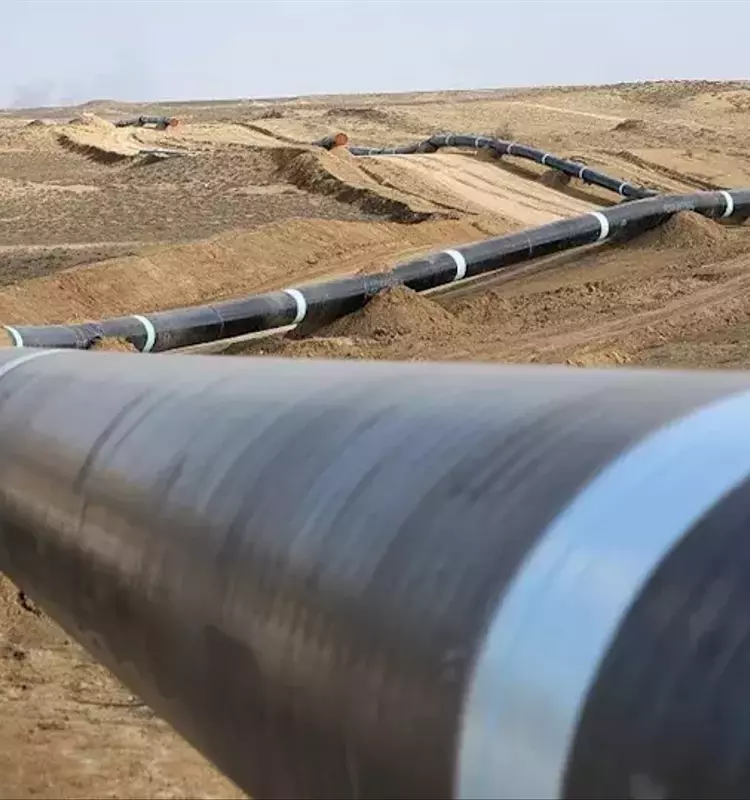Global Markets Rally as Oil Prices Stabilize and Corporate Updates Inspire Confidence