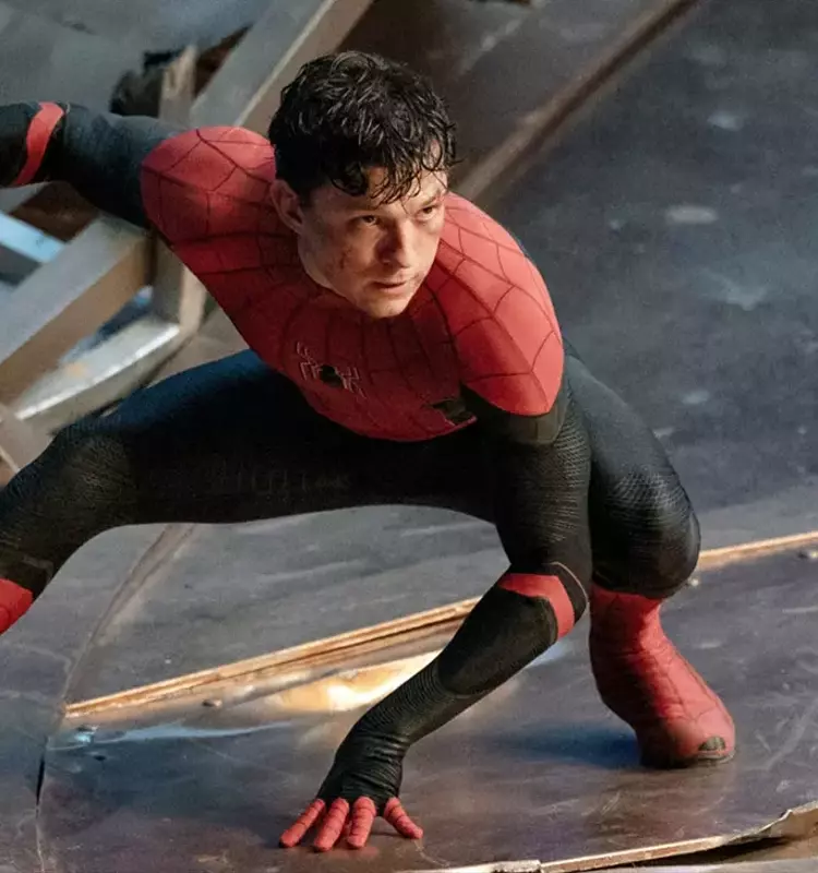 Spider-Man: Brand New Day Trailer Unveiled, Featuring Team-Up with Hulk and Punisher