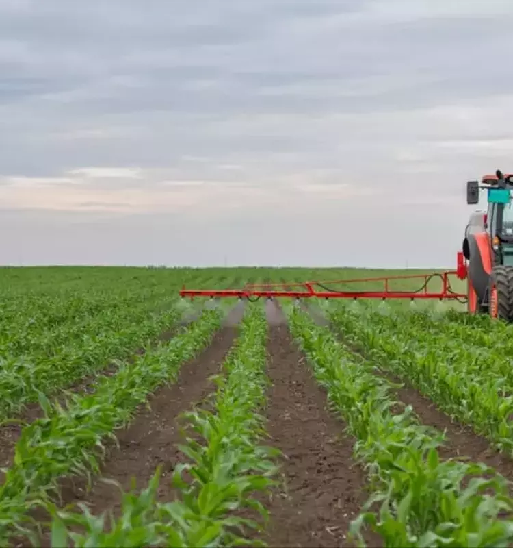 CF Industries' Stock Surges Amid Middle East Fertilizer Export Disruptions