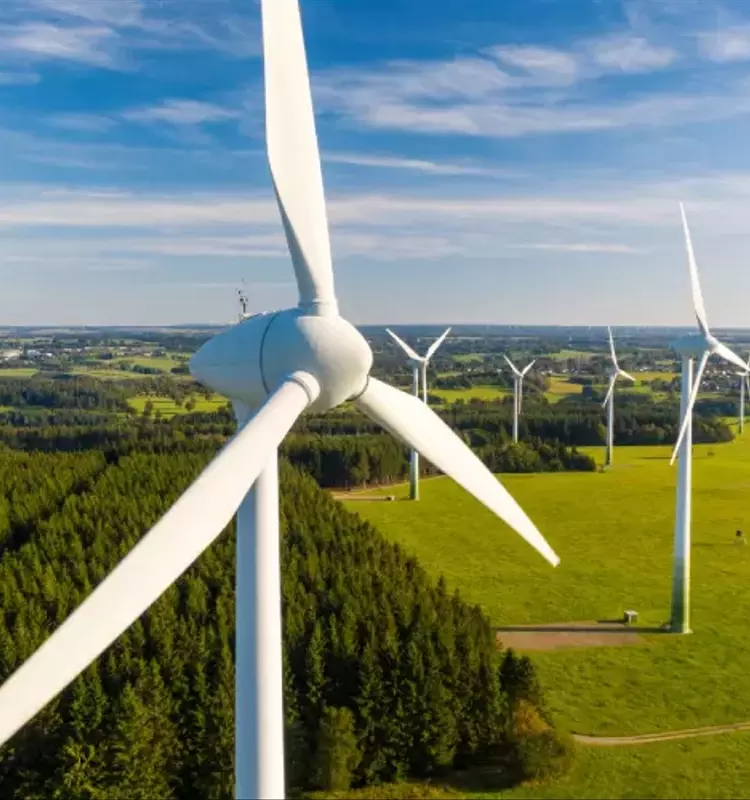 La Cour des comptes exhorte l'État à optimiser la gestion de ses subventions aux énergies renouvelables
