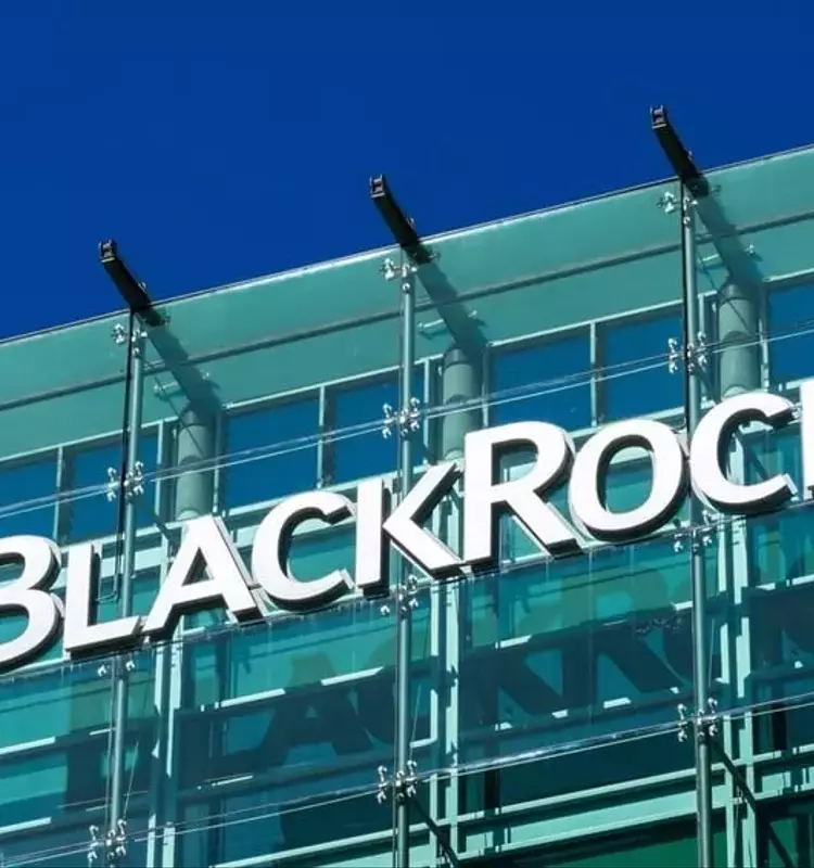 BlackRock's Investment Strategy Shifts Amidst Global Economic Headwinds