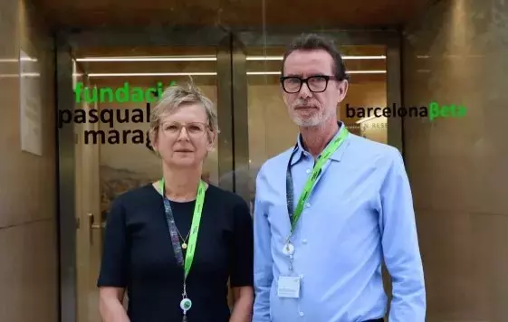 El BBRC Impulsa la Investigación Cerebral con Nuevo Grupo de Neurociencia Poblacional