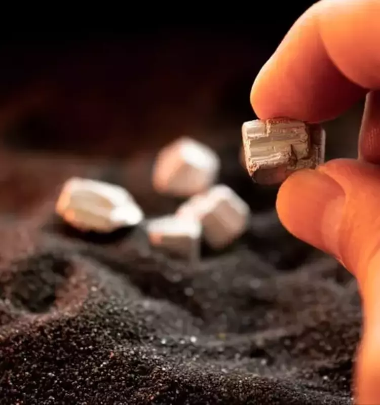 US and Brazil Strengthen Critical Mineral Collaboration