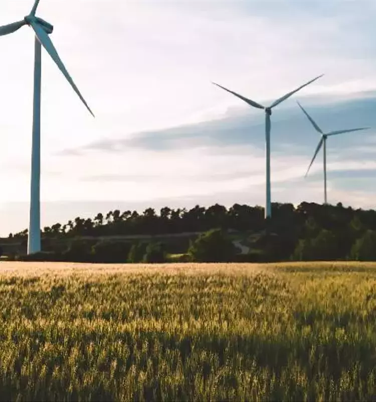Transition &eacute;nerg&eacute;tique au Moyen-Orient : Une vision collective pour l'avenir des &eacute;nergies
