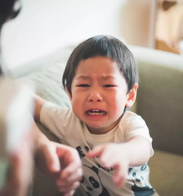 Understanding Disorganized Attachment in Children: Signs, Causes, and Solutions
