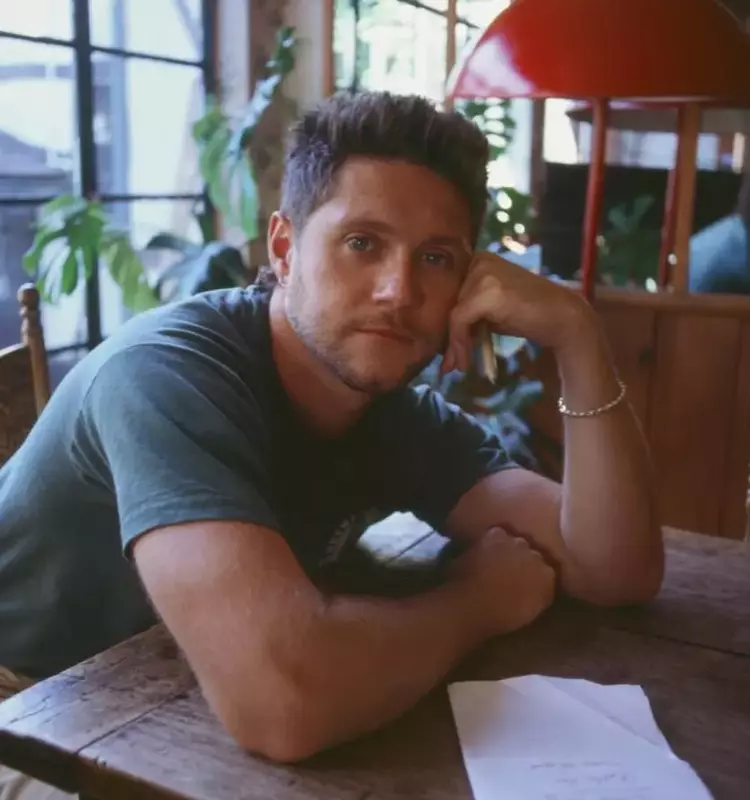 Niall Horan Unveils "Dinner Party" Single and Details Upcoming Album