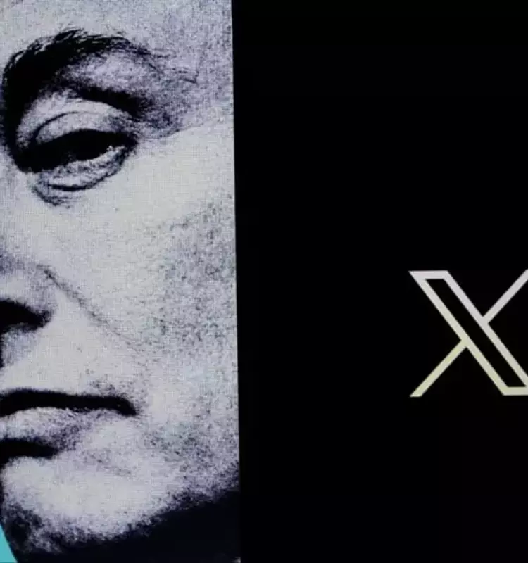 Elon Musk Liable in Twitter Investor Misleading Case, Faces $2.5 Billion Damages