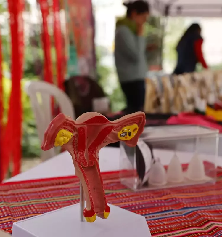 Avance Científico: Nuevo Biomarcador para Predecir Recaídas en Cáncer de Endometrio