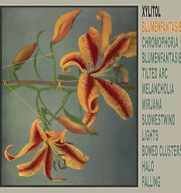 Xylitol's 'Blumenfantasie': A Sonic Fusion of Jungle and Ethereal Synthesizers