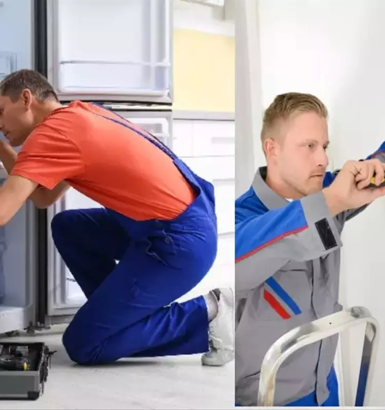 Economics Training: Foundations, Mechanisms, and Practical Applications