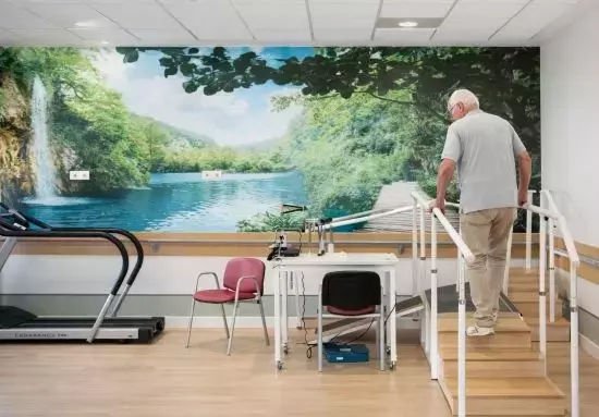 Ejercicio Terapéutico: Pilar Fundamental para un Envejecimiento Activo