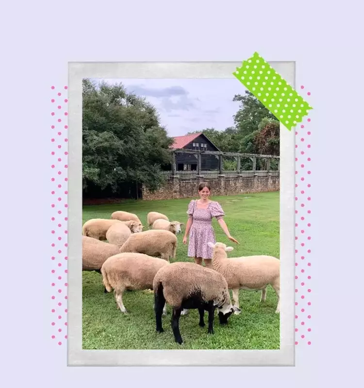 Scary Mommy's 2026 Readers' Choice Awards for Premier Farm Stays Revealed