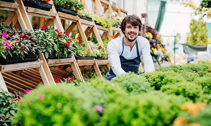 Violin Training: Fundamentals, Techniques, and Educational Approaches