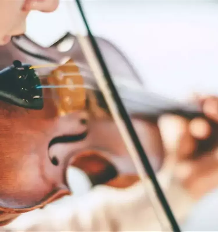 Dance Training: Concepts, Learning Processes, and Broader Context