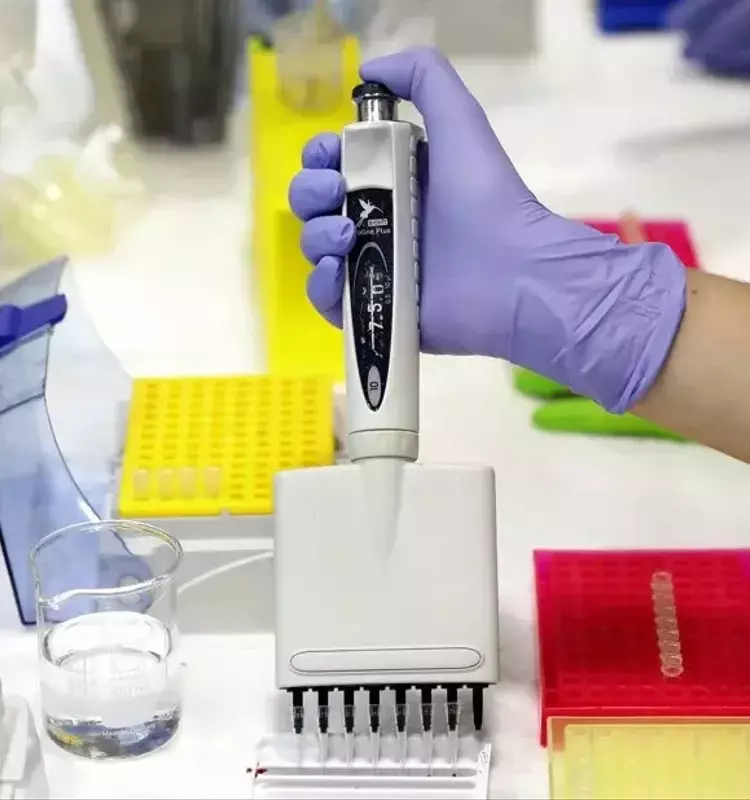 Detección Precoz del Cáncer Colorrectal: Un Imperativo para Salvar Vidas