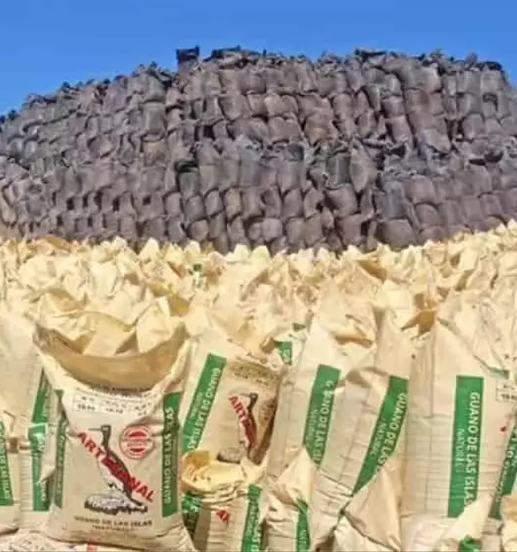 El Regreso del Guano de Islas: Fertilizante Natural Impulsa la Agricultura Peruana