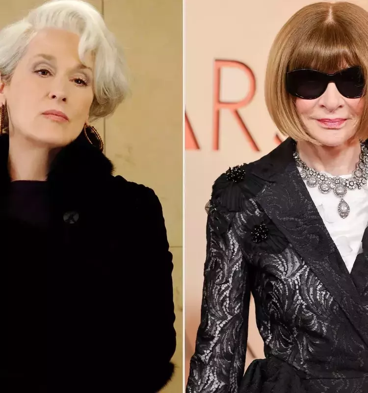 Meryl Streep and Anna Wintour: A Surprising Family Connection