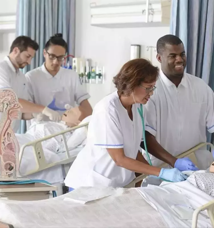 Nursing Education Training: Frameworks, Methods, and Healthcare Implications